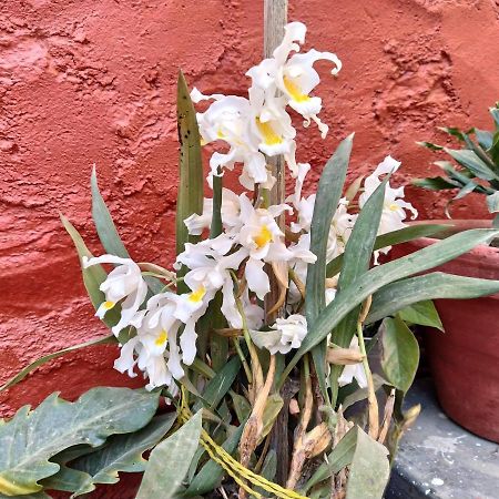 Bhattidanda Fresh & Natural Homestay Dhulikhel Kültér fotó