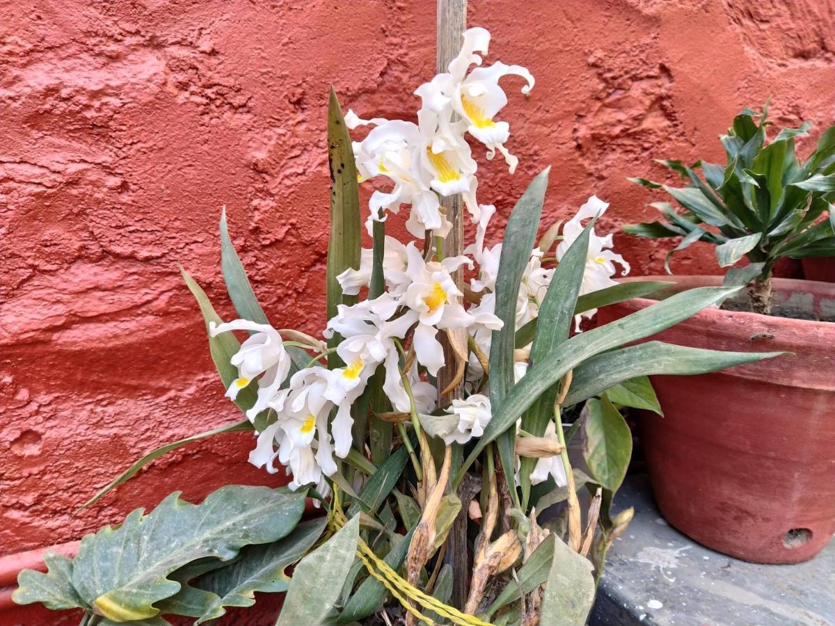 Bhattidanda Fresh & Natural Homestay Dhulikhel Kültér fotó