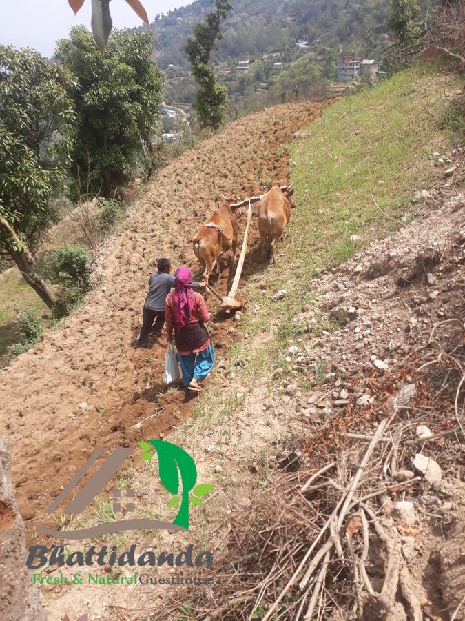 Bhattidanda Fresh & Natural Homestay Dhulikhel Kültér fotó