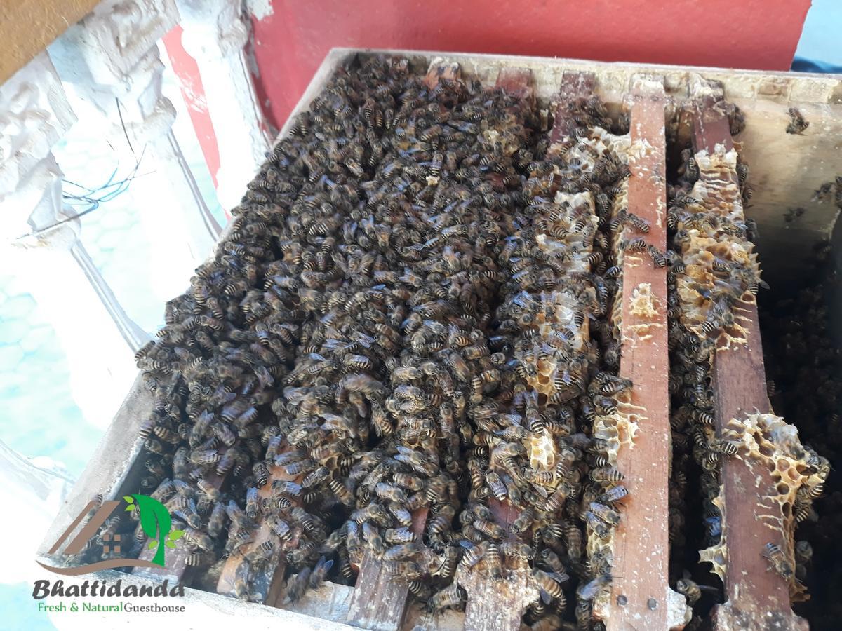 Bhattidanda Fresh & Natural Homestay Dhulikhel Kültér fotó
